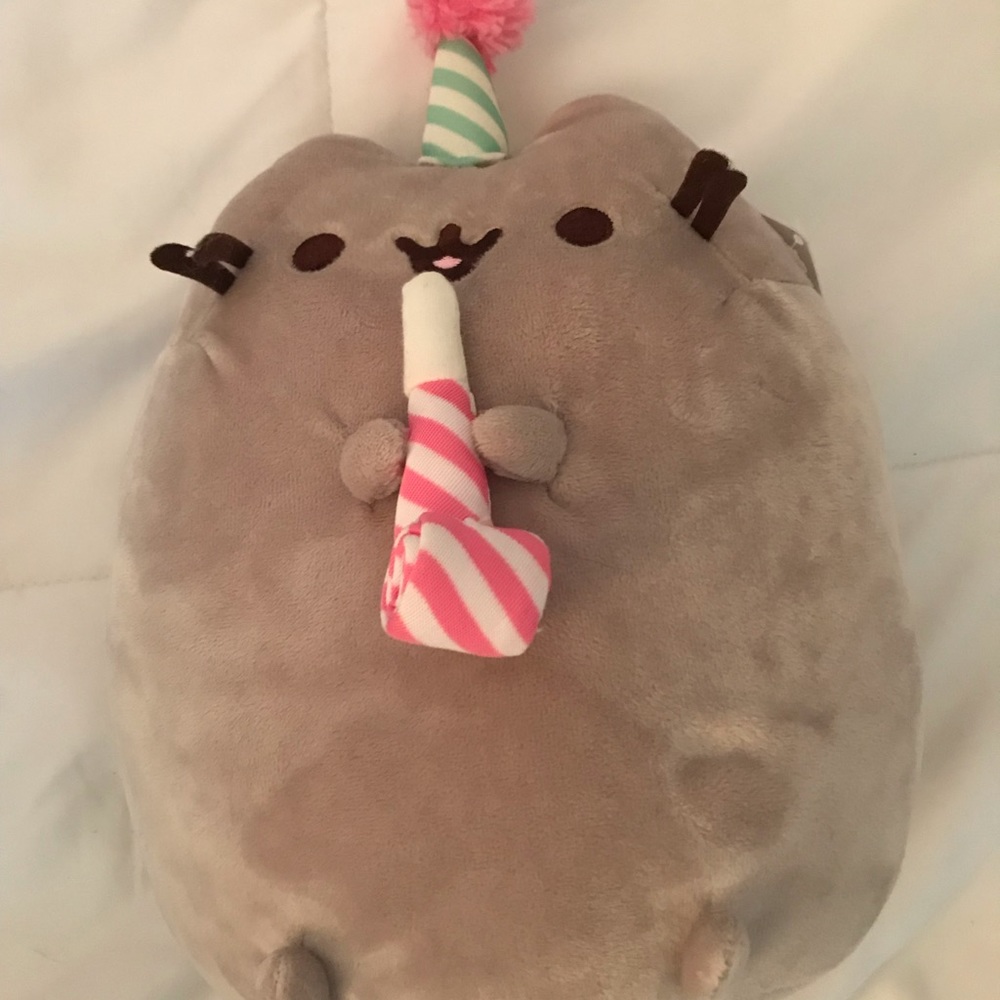 Limited edition birthday pusheen plush